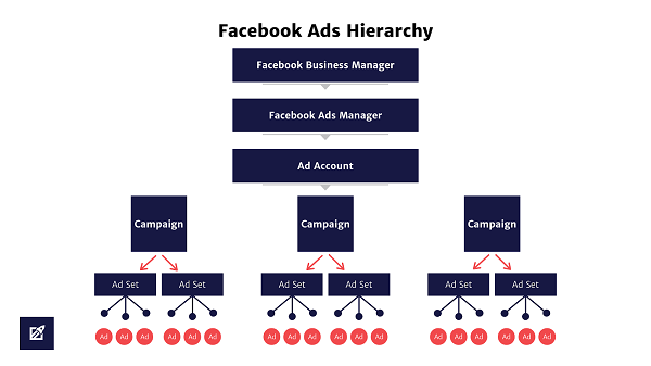 Management structure of AC in the business manager