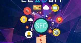 SEO checklist for newbies