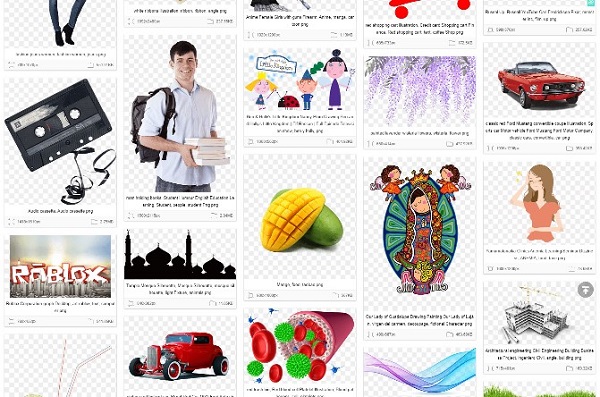 You can find illustrations, vectors, footages, photos on photo banks
