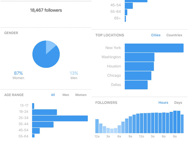 Use the built-in and free Instagram Insights statistics tool to analyze your positions 