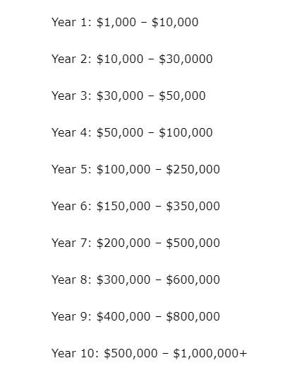 How much can you earn in a year: a graph of income growth as the site develops