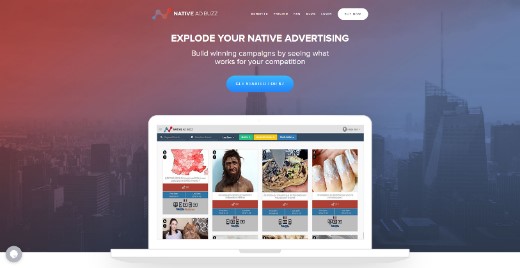 Native Ad Buzz landing page