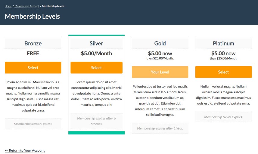 Example of a page with paid plans