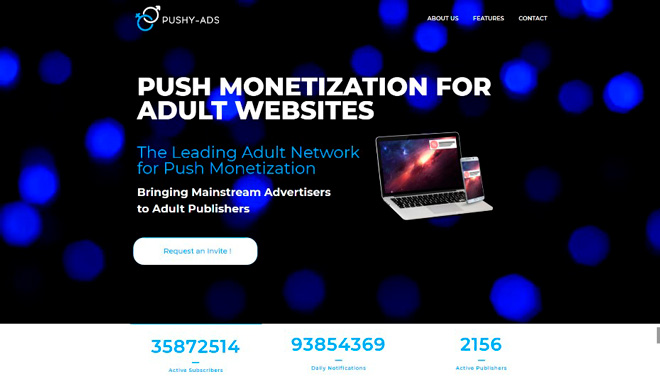 Landing page for Pushy-Ads
