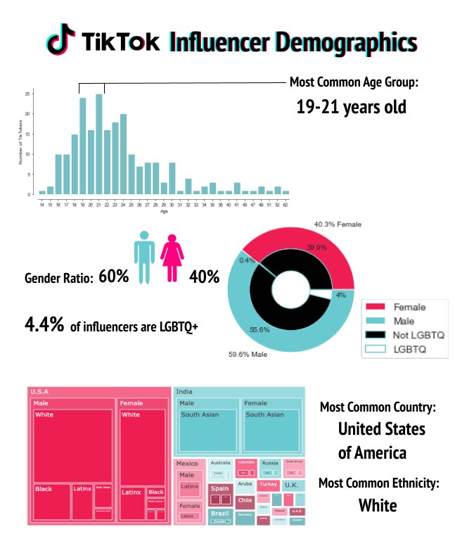 Tik Tok Demographics